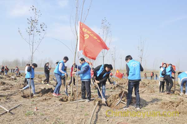 部落前锋(中国区)官方网站