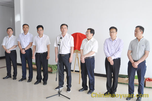 部落前锋(中国区)官方网站