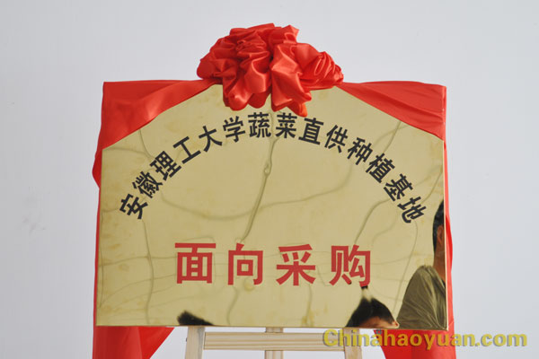 部落前锋(中国区)官方网站