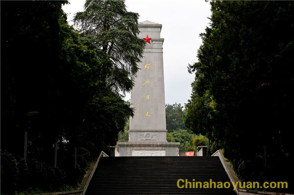 部落前锋(中国区)官方网站