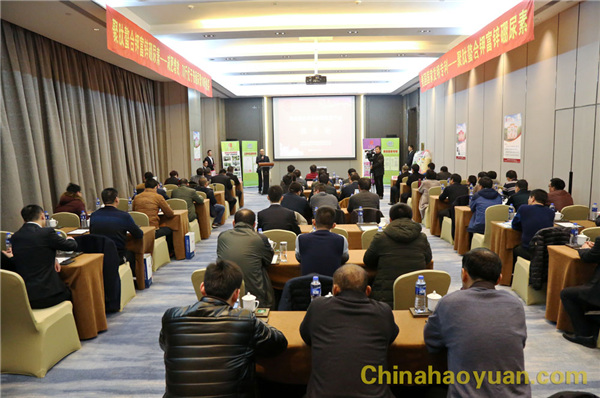 部落前锋(中国区)官方网站
