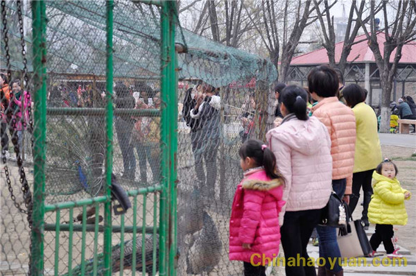 部落前锋(中国区)官方网站