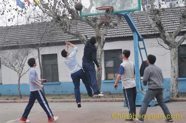 部落前锋(中国区)官方网站