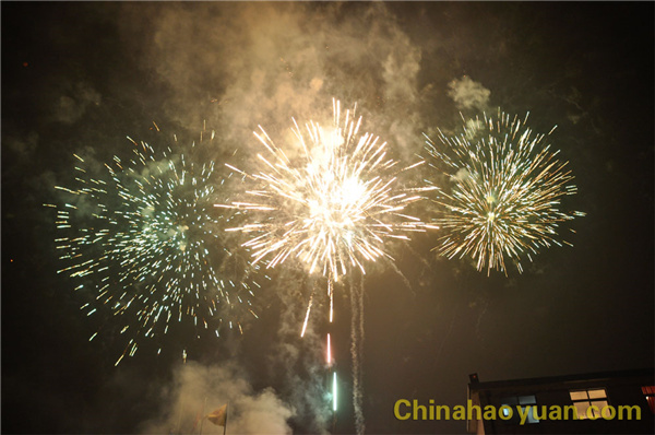 部落前锋(中国区)官方网站