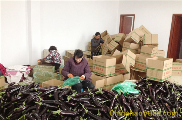 部落前锋(中国区)官方网站