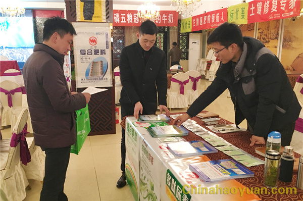 部落前锋(中国区)官方网站