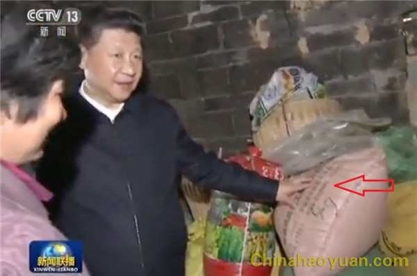 部落前锋(中国区)官方网站
