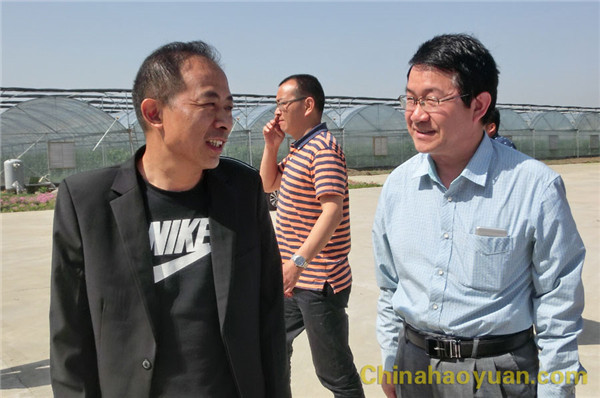 部落前锋(中国区)官方网站
